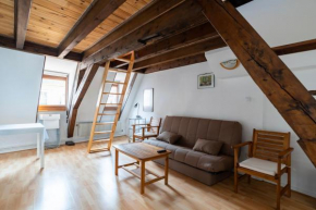 CityCosy Strasbourg - Budget St Thomas Serruriers